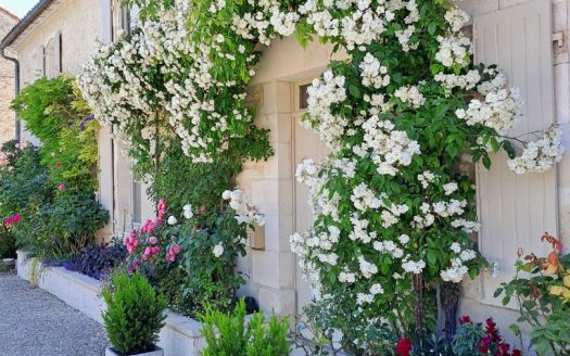 CHARENTAISE RENOVATED OF 210 M2 WITH COURTYARD AND SMALL AND CUTE GARDEN