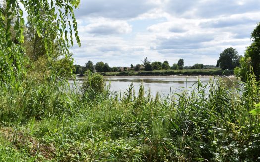QUIET TWO-BEDROOM SINGLE-STOREY HOUSE NEAR THE RIVER TO RESTORE