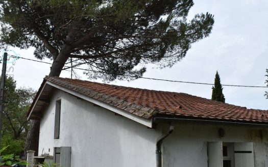 QUIET TWO-BEDROOM SINGLE-STOREY HOUSE NEAR THE RIVER TO RESTORE