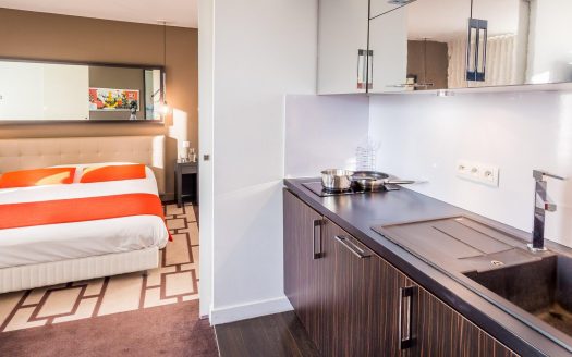 RENTAL INVESTMENT – GRENOBLE – Adagio Grenoble Centre Business Residence – 6.01% return