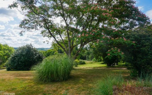 Charming 19th century Périgord building nestled in the heart of a natural and preserved environment.