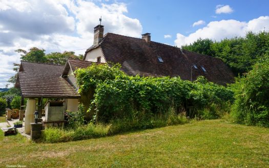 Charming 19th century Périgord building nestled in the heart of a natural and preserved environment.