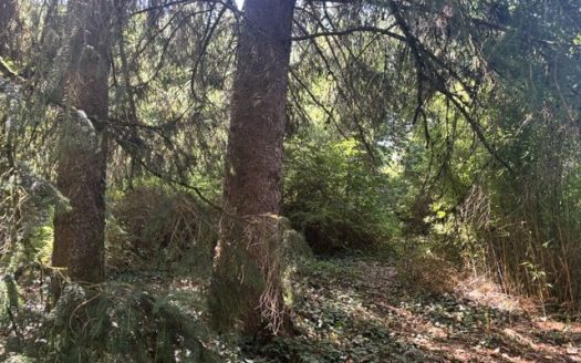PLot of land with garage, possibility to build a house