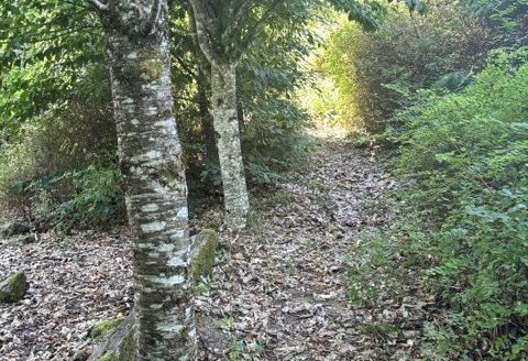 PLot of land with garage, possibility to build a house