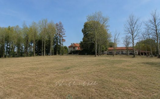 Renovated stone bourgeois house with swimming pool, outbuildings, and over 3.6 hectares of land.