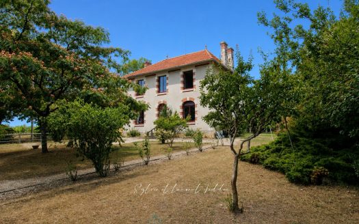 Renovated stone bourgeois house with swimming pool, outbuildings, and over 3.6 hectares of land.