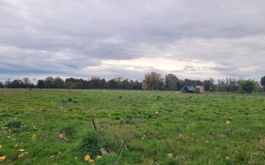 TERRAIN 5000M²: Permis DEJA ACCEPTE!