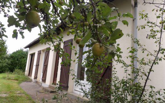 In the heart of the Dordogne in Jumilhac Le Grand, a beautiful house and its lovely grounds