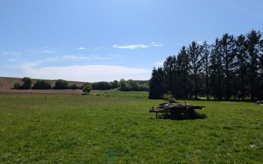 17 century farm and 4.5 hectares of grassland