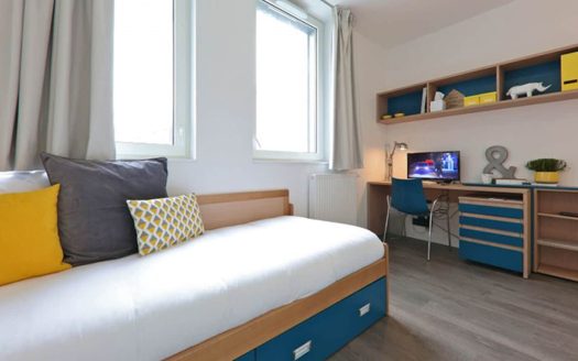 RENTAL INVESTMENT – Paris 13th arrondissement – Le Palatino student residence – 5.52% return