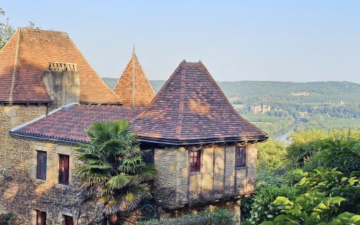 A true gem nestled in a lush green setting in the commune of Domme.