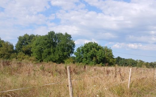 Terrain constructible