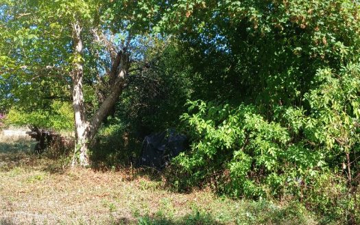 Terrain constructible
