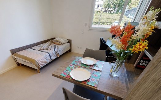 RENTAL INVESTMENT – CLERMONT FERRAND – Artemisia Oradou Student Residence – 5% Return