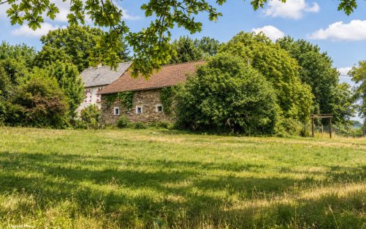 Former farmhouse nestled in the heart of 10 hectares of green and preserved nature, in the Périgord vert.