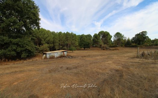 6.96 HECTARES: A PROPERTY THAT HAS BECOME RARE ON THE MARKET