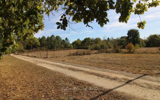 6.96 HECTARES: A PROPERTY THAT HAS BECOME RARE ON THE MARKET