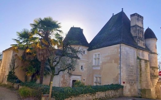 Ancient castle, 14th 16th century, original features, fireplaces, in a village, very good standards, good size rooms, well, pool, stream border, orangerie, carport