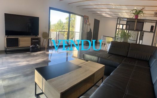New villa + T2 apartment