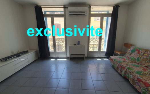 For sale: charming one-bedroom apartment in the historic city center of Perpignan